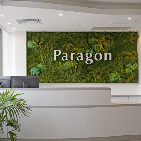 Paragon Reception Fitout